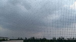 Pigeon Net for Balconies Faridabad