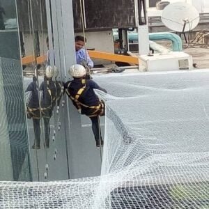 Mall bird net installation