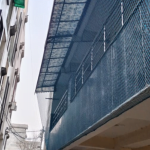 AV Global bird netting service