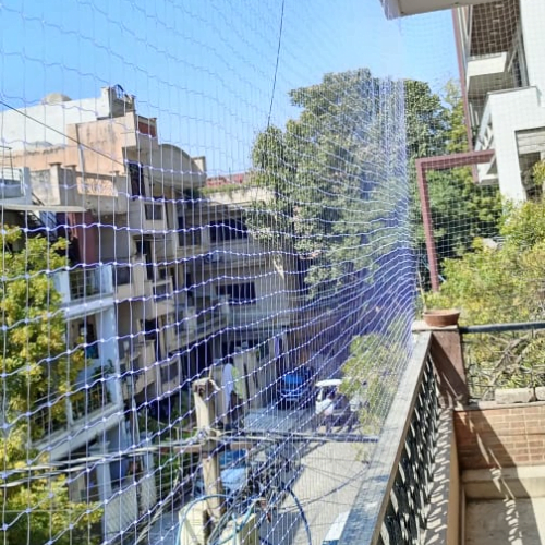 Pigeon Bird Netting in Delhi