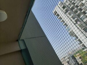 Read more about the article Bird Net for Balcony in Gurgaon Sector 82