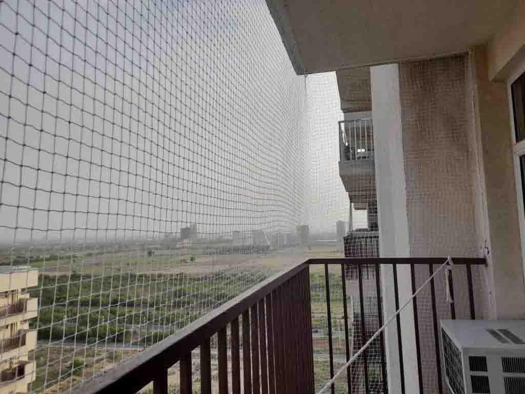 Bird net installation in Mehrauli