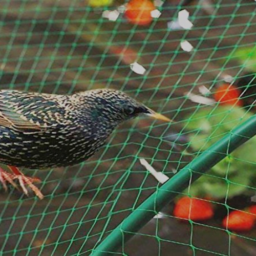 Kabutar Net in Delhi