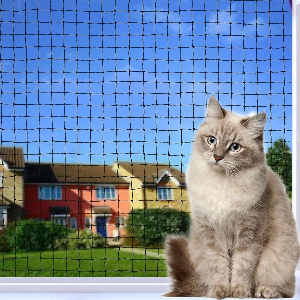 Cat Net in Greater Noida