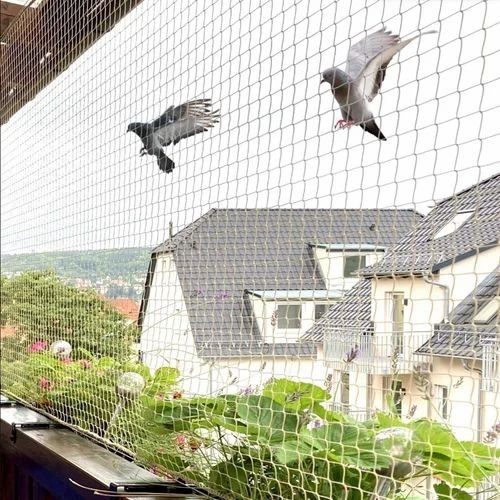 Bird net for home
