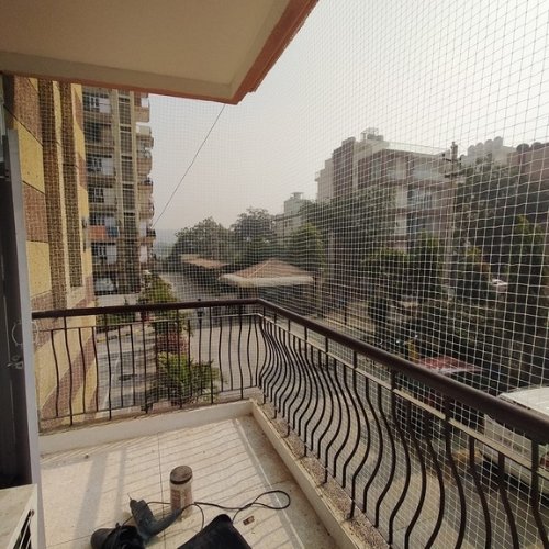 Bird net installation