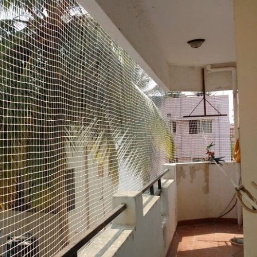 bird netting service