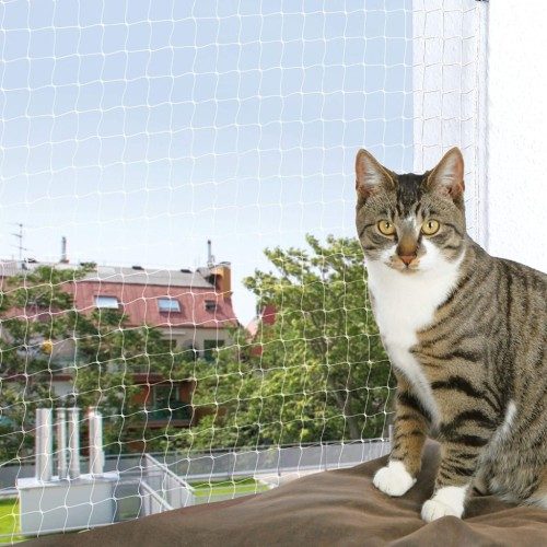Cat-Protection-Net-500