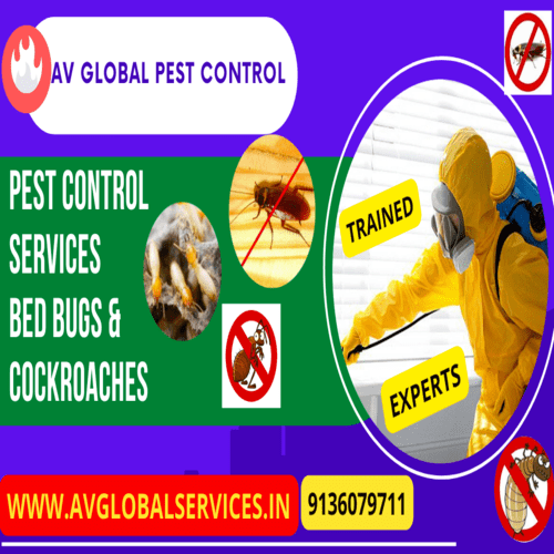 PEST CONTROL AV GLOBAL