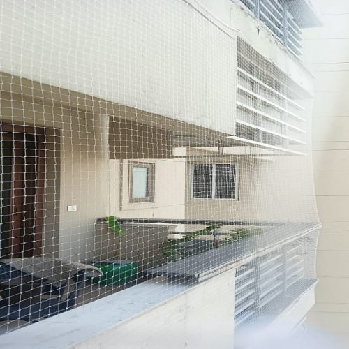 bird net transparent installation Gurgaon