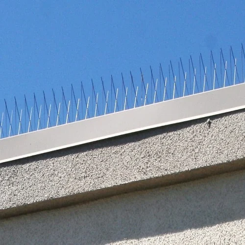 ss anti bird spike installation Noida