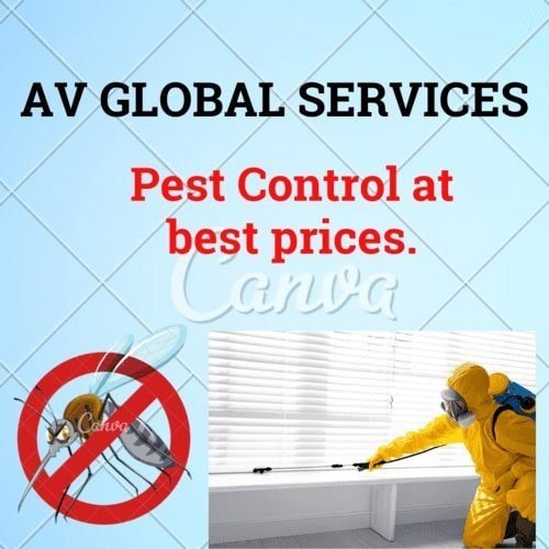 mosquito pest control